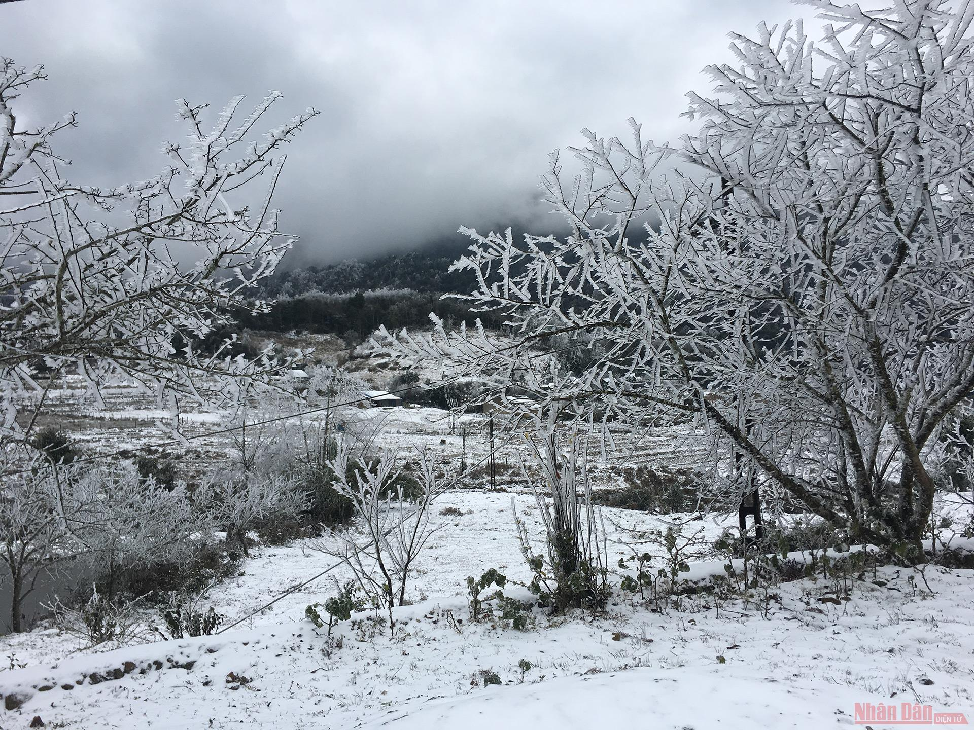 Northern Vietnam mountains engulfed in white snow